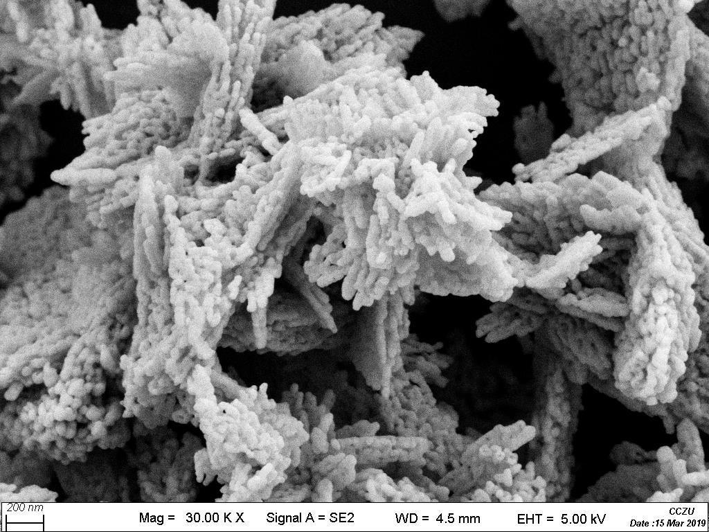 Nano Dysprosium Oxide Dy₂O₃ 99.9% High Purity Powder for NdFeB Magnets & Catalysis