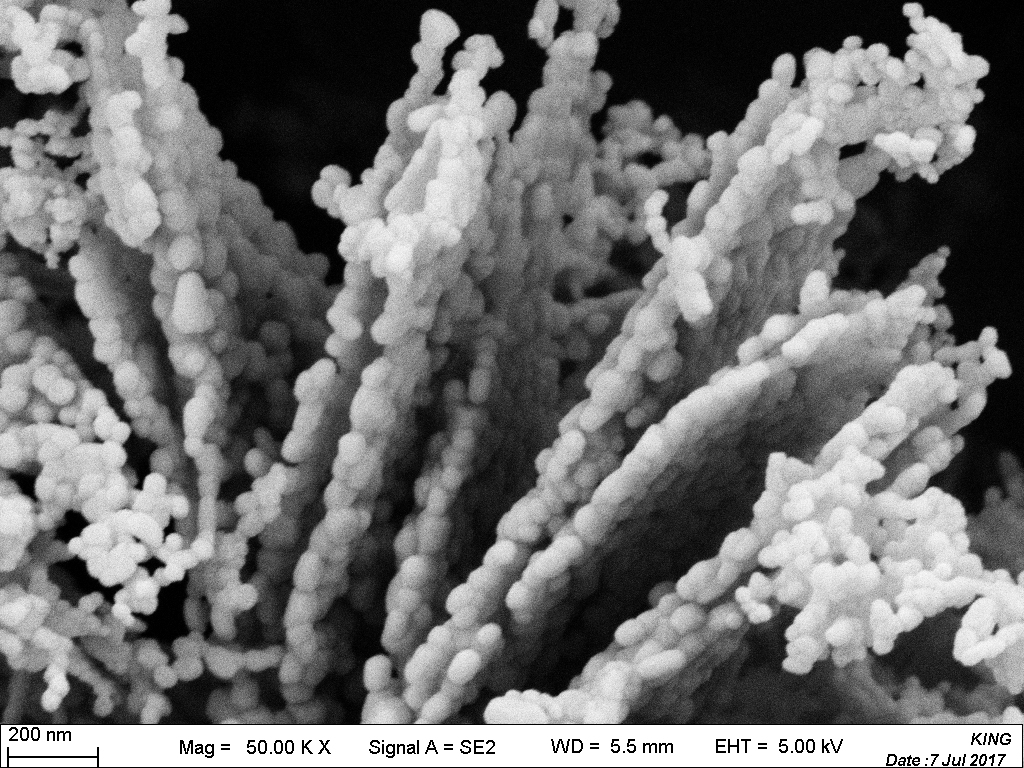 Nano Erbium Oxide Er₂O₃ 99.99% High Purity Powder for Fiber Amplifiers & Upconversion