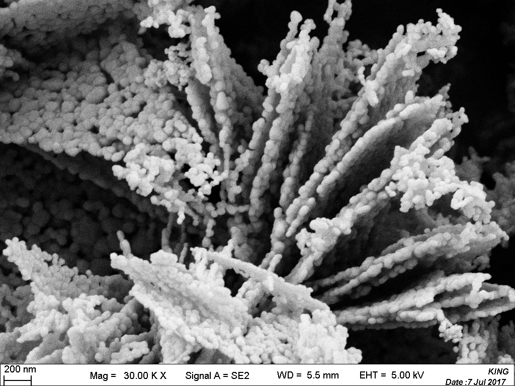 Nano Erbium Oxide Er₂O₃ 99.99% High Purity Powder for Fiber Amplifiers & Upconversion