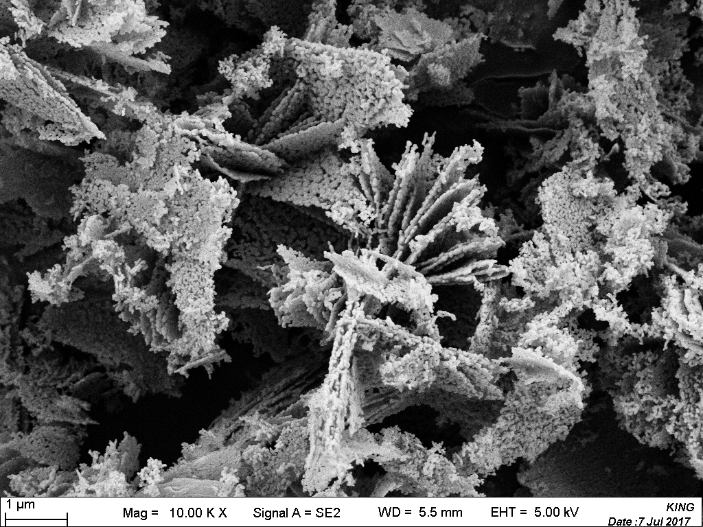 Nano Erbium Oxide Er₂O₃ 99.99% High Purity Powder for Fiber Amplifiers & Upconversion