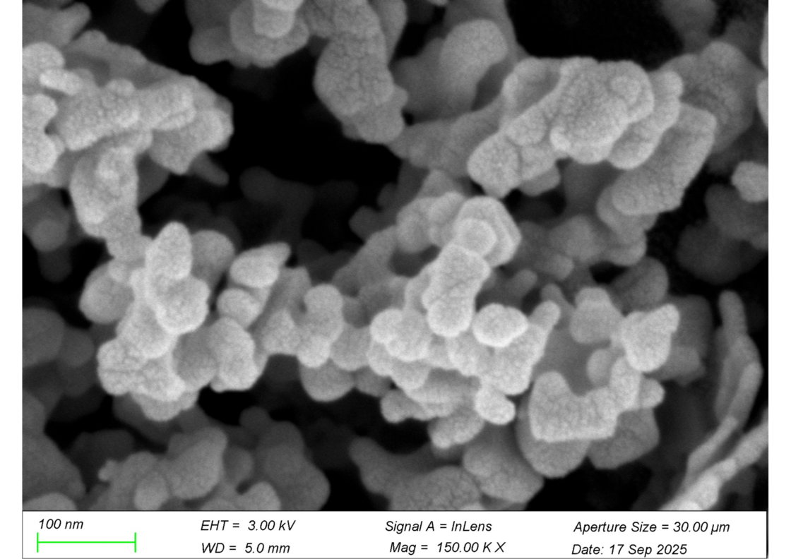Nano Europium Oxide Eu₂O₃ 99.995% Ultra-Pure Red Phosphor for Displays & Fluorescence Bioassay