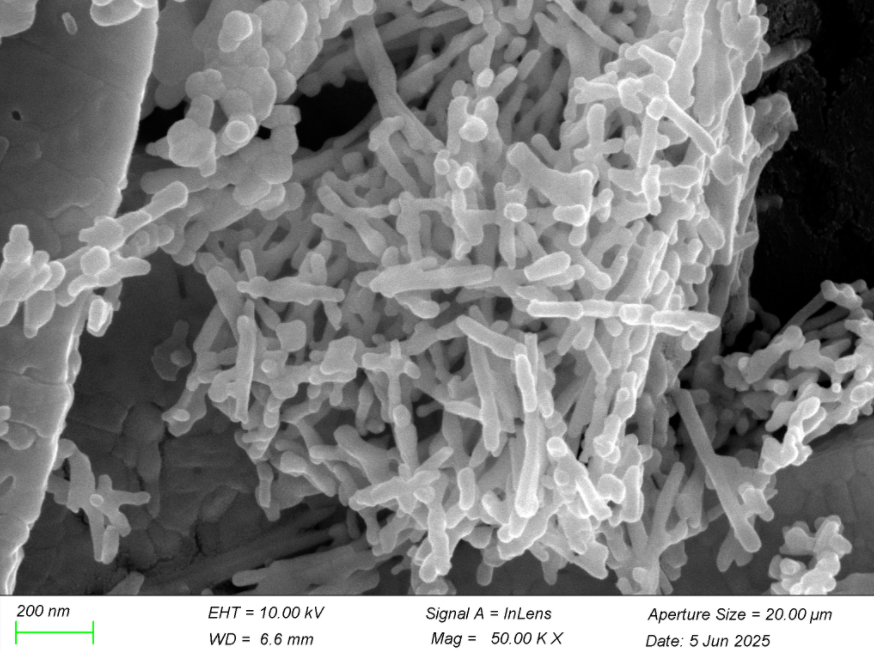 Nano Samarium Oxide Sm₂O₃ 99.9% High Purity Powder for Samarium-Cobalt Magnets & Neutron Absorption